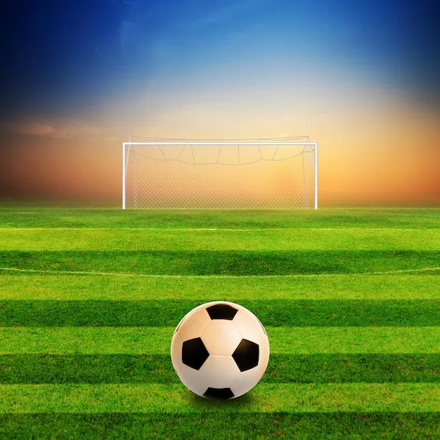 品牌与口碑展示